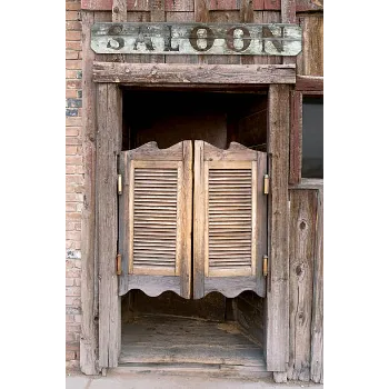 Durable Swinging Doors swinging-doors-2-7325812-29418.webp