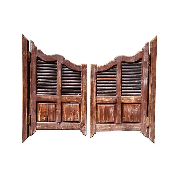 Plain Swinging Doors swinging-doors-3-6838743-10114.webp