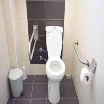 Toilet Accessories toilet-accessories06-1309669-82574.webp