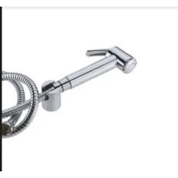 Polished Toilet Fittings toilet-fittings-1-911137-98429.webp