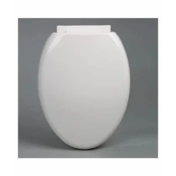 Polished Toilet Seat Cover toilet-seat-cover-1-2400540-44992.webp