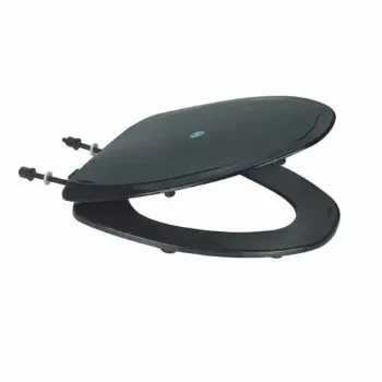 Polished Toilet Seat Cover toilet-seat-cover-1-4684490-77598.webp