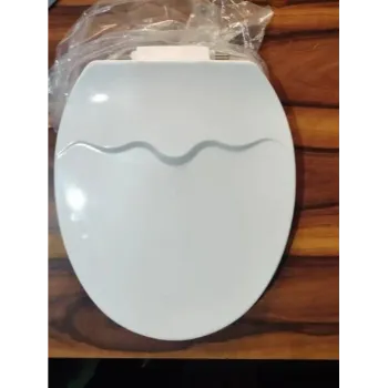 Polished Toilet Seat Cover toilet-seat-cover-1-7406028-95813.webp