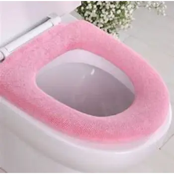 Polished Toilet Seat Cover toilet-seat-cover-11-4367747-74868.webp