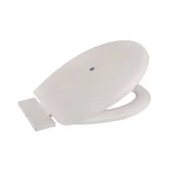 Polished Toilet Seat Cover toilet-seat-cover-2-5363519-74429.webp