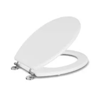 Polished Toilet Seat Cover toilet-seat-cover-2-8077664-82090.webp