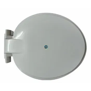 Solid Toilet Seat Cover toilet-seat-cover-2-8351749-61279.webp