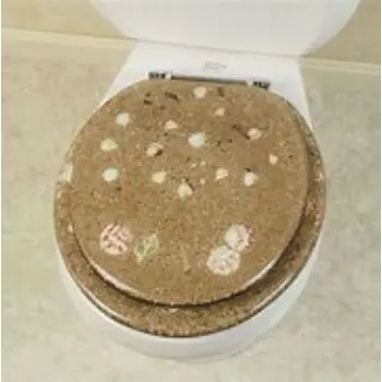 Polished Toilet Seat Cover toilet-seat-cover-4-5829505-22395.webp