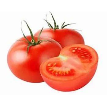 tomato-01-8339963-65458.webp