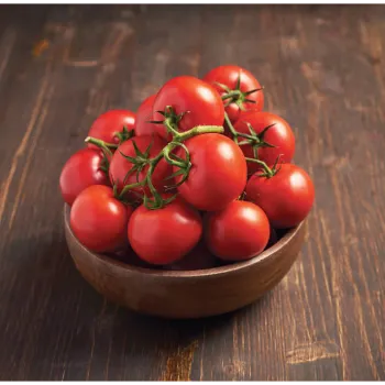tomato-03-5131799-26027.webp