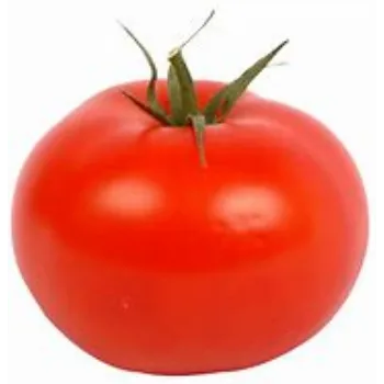 tomato-03-8544706-69164.webp