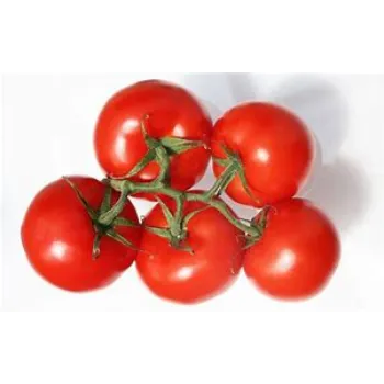 tomato-05-8511863-51750.webp