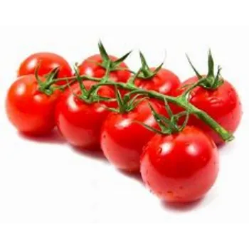 tomato-05-9208151-82628.webp