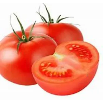 tomato-07-1510143-39969.webp