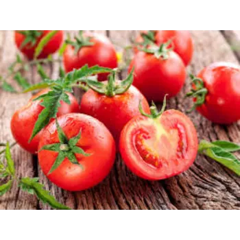 tomato-08-9719216-13065.webp