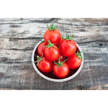 tomato-09-3109180-82024.webp