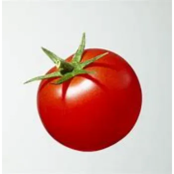tomato-10-3305559-43161.webp