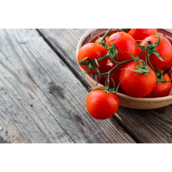 tomato-11-537873-29543.webp