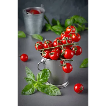 tomato-1139469-72455.webp