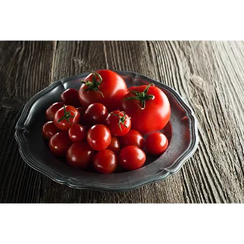 tomato-12-9664760-69214.webp