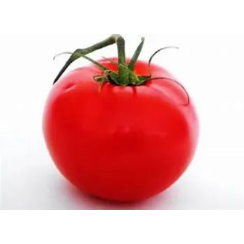 tomato-14-6697156-17230.webp