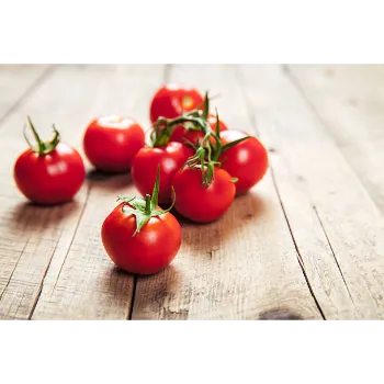 tomato-17-7063665-41158.webp
