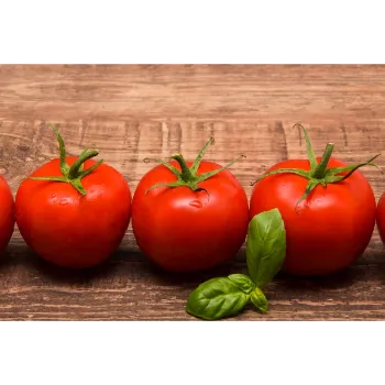 tomato-19-4413868-59414.webp