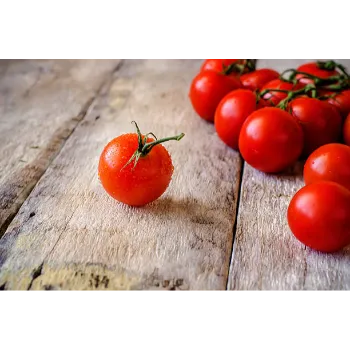 tomato-20-4226446-34937.webp