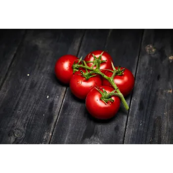 tomato-23-4559068-22475.webp