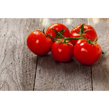 tomato-25-4003599-32253.webp