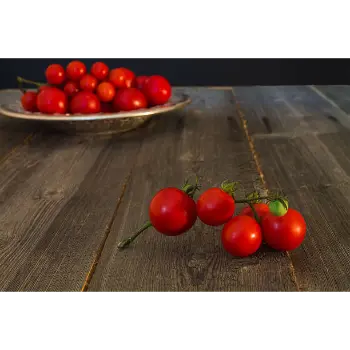tomato-26-8402839-84471.webp