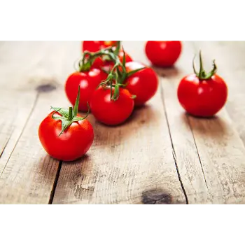 tomato-27-3018901-32882.webp