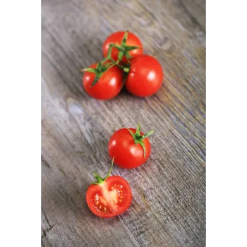 tomato-53-9923661-83136.webp