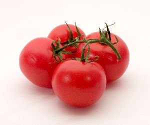 tomato.jpeg