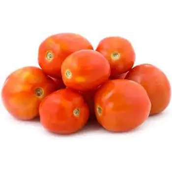 tomato01-1799688-86906.webp