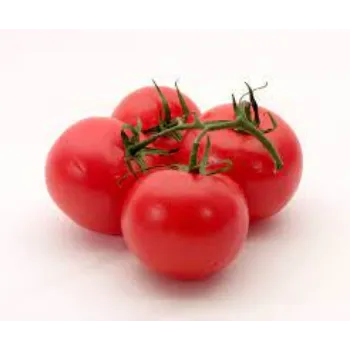 tomato01-2861948-3010.webp