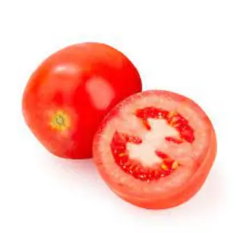tomato01-6739462-75142.webp