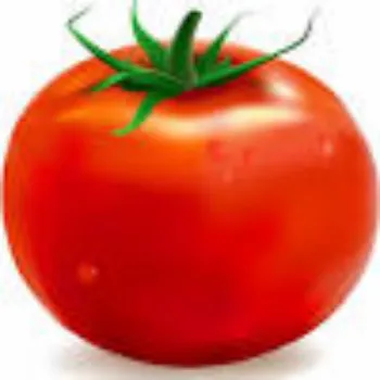tomato01-7751322-23024.webp