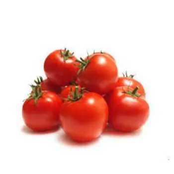 tomato02-1170090-81861.webp