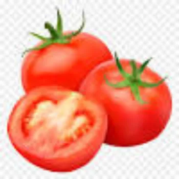 tomato02-9602621-25659.webp