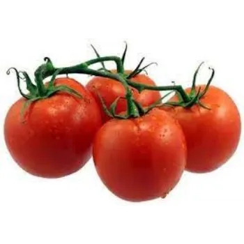 tomato03-1367907-20728.webp