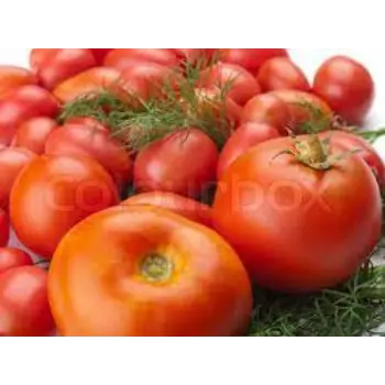 tomato03-2201758-44024.webp