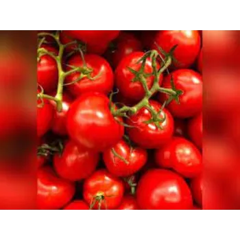 tomato03-2325637-77967.webp