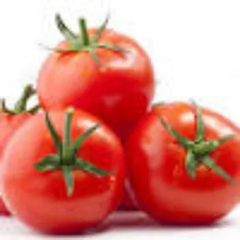 tomato03-3348112-15345.webp