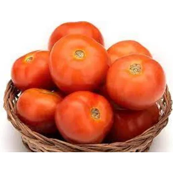 tomato03-3603579-41917.webp