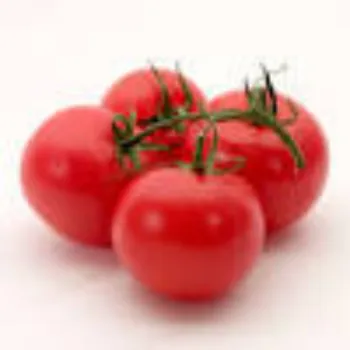 tomato03-4894512-44663.webp