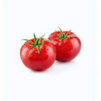 tomato04-3882550-74080.webp