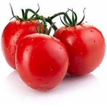 tomato04-5156073-78473.webp