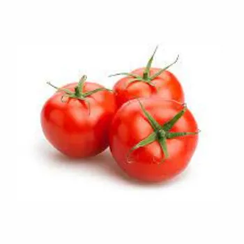 tomato05-3509183-79217.webp