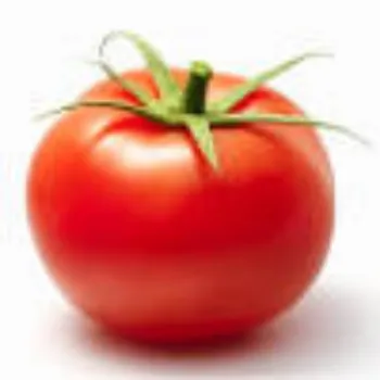 tomato05-8984391-30612.webp